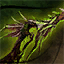 Zhaitan's Argument.png