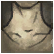 Amulet