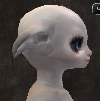 File:Gw2-new-faces-festival-of-four-winds-asura-female-3-side.jpg