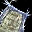 Recipe sheet basic bag.png