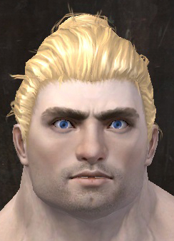 File:Unique norn male hair front 4.jpg