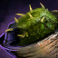 Dollop of Choya Harissa.png