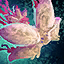 Castoran Tentacled Skimmer.png