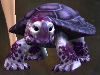 Mini White and Purple Turtle Hatchling.jpg
