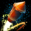 Visage of the Great Dog Firework.png