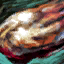 Piece of Mordrem Husk Bladder.png