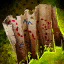Gift of the Desolation.png