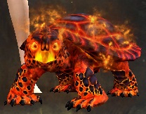 Mini Blazing Turtle Hatchling.jpg