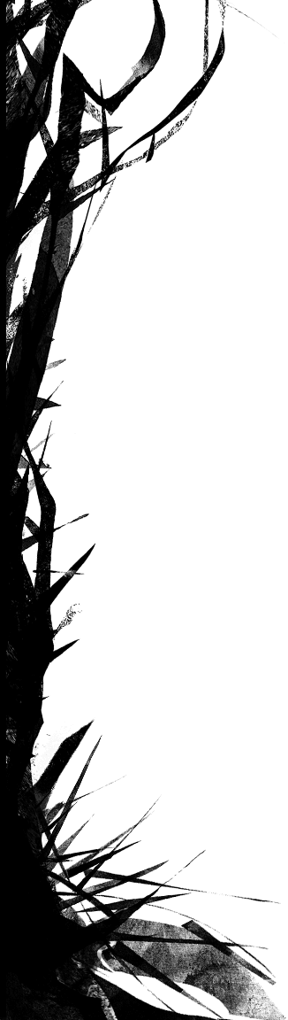 User DiegoDeLaHouska Left Border.png