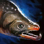 Alpine Char.png