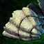 Gift of Hidden Descent.png