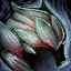 Arborist Helm.png