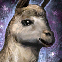 Mini Llama.png