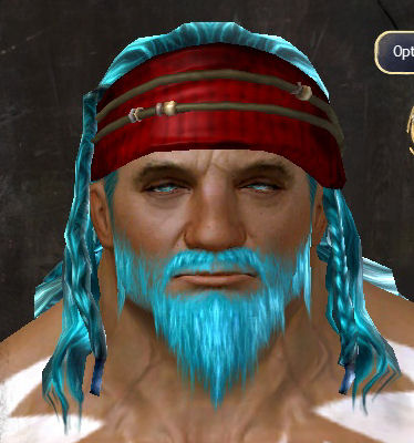 File:Unique norn male hair front 8.jpg