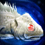 Albino Blindfish.png