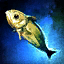Haiju Minnow.png