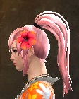 Sunshine Flower Headpiece.jpg
