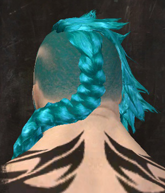File:Unique norn male hair back 14.jpg