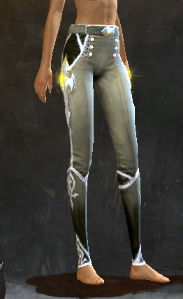 Acclaimed Militia Leggings.jpg