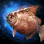 Chestnut Sea Bream.png