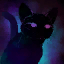 Invisible Cat Cape.png