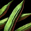 Green Bean.png