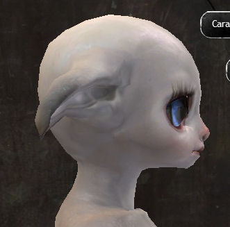 File:Gw2-new-faces-festival-of-four-winds-asura-female-1-side.jpg