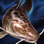 Jundia.png