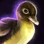 Mini Duckling.png