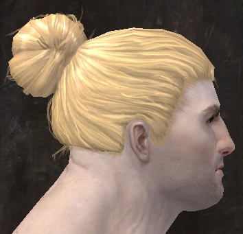 File:Unique norn male hair side 4.jpg