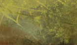User Jyavoc Traits r line1 section3.png