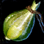 Heirloom Seed Pouch.png