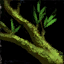 Darkened Vine.png