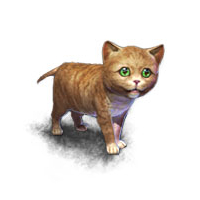 Mini Orange Kitten concept art.jpg