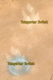 Teleporter Switch.jpg