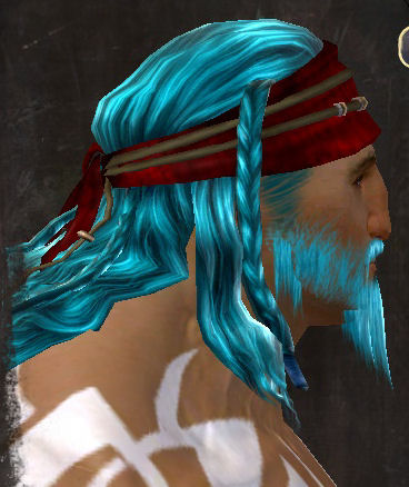 File:Unique norn male hair side 8.jpg