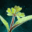 Germinate Carrots.png