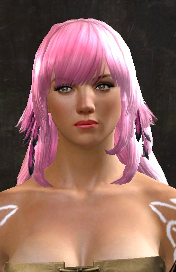 File:Unique norn female hair front 10.jpg