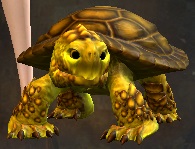 Mini Yellow Turtle Hatchling.jpg