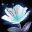 Morgan's Orchid.png