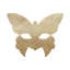 Official icon
