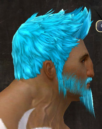 File:Unique norn male hair side 15.jpg