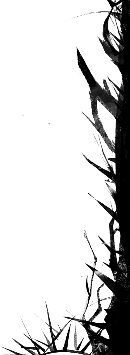 User DiegoDeLaHouska Right Border.png