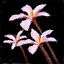 Marsh Plant Leaves.png