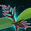 Germinate Omnomberries.png