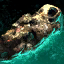Underwater Porous Rock.png
