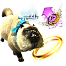 2021 Extra Life Donation Bundle.png