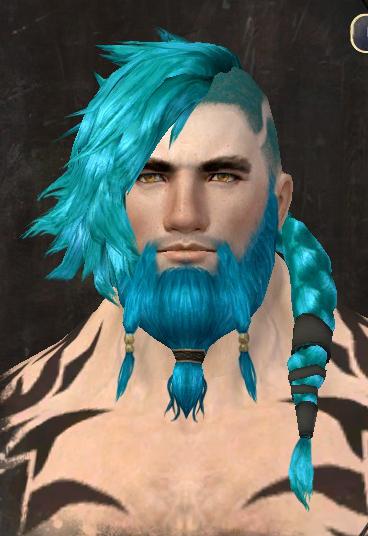 File:Unique norn male hair front 14.jpg