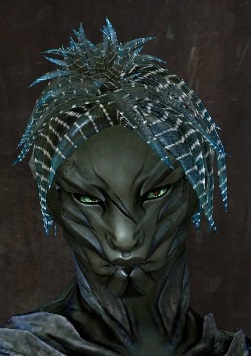 File:Unique sylvari male hair front 14.jpg