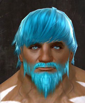 File:Unique norn male hair front 12.jpg